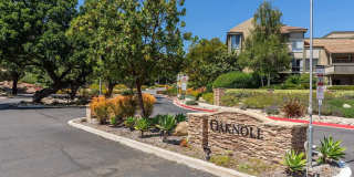 248 Oakleaf Dr Apt 107 248 Oakleaf Dr Apt 107 Gallery 1