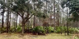 8512 TOWER FALLS Drive Gallery 40