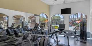 The Resort at Coronado Ranch Gallery 88