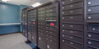 The Falls at Arden Gallery 30