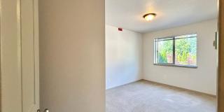 Johnson Street Apartments - Two Bed, One Bath Units Available Now! Gallery 25