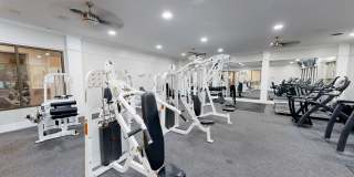 The Village at Stetson Square Gallery 12