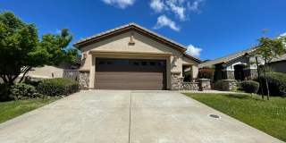 Fireplace in Living Room, Backyard Patio, Hardwood and Laminate Flooring Gallery 1