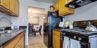 Cinnamon Run at Peppertree Farm Gallery 6