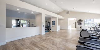 Avana Chandler Gallery 14
