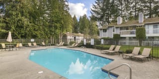 Village Fair Gallery 7