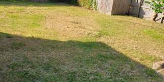 AUGUST 2026 PRE-LEASE!!  Adorable 4 Bedroom 2 Bathroom Home Gallery 14