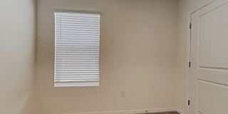 31260 Penny Surf Loop Gallery 13