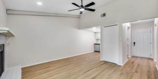Renovated Apartment in the Heart of Carollwood Gallery 7
