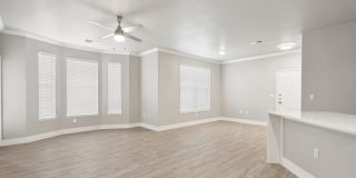 Collier Luxury Living Gallery 23