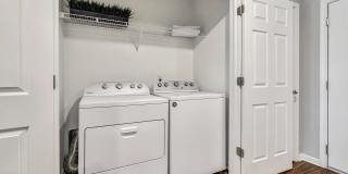 Kinsley Forest Gallery 11