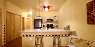 Settlement Place Gallery 287