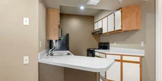 505 Collection Gallery 38