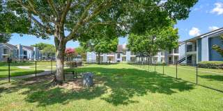 College View Apartments Gallery 45
