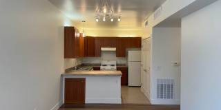 Polo Villas Gallery 14