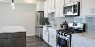 Arris Blaine Gallery 5