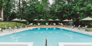 Alister Falls Church Gallery 15