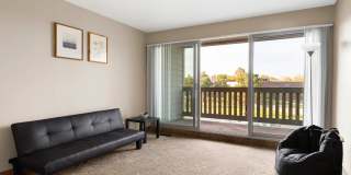 Large 1 & 2 Bedrooms available, PET FRIENDLY! Gallery 122