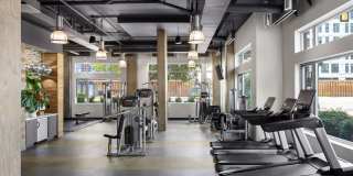 The Frasier Gallery 18