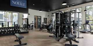 Aventon Noelle Aventon Noelle Gallery 24