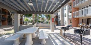 Renaissance Gallery 36