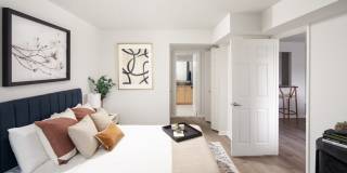 The Magnolia Gallery 25