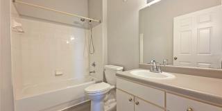 9018 LAKE CHASE ISLAND Way 9018 LAKE CHASE ISLAND Way Gallery 22