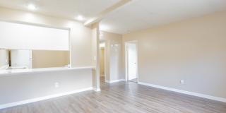 Valley Springs Gallery 7