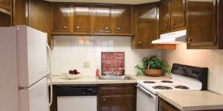 Peppertree Village Gallery 1