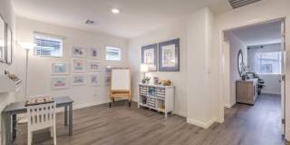 Shadow Bay Gallery 18