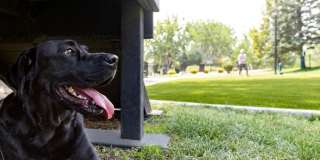 Camden Denver West Gallery 23