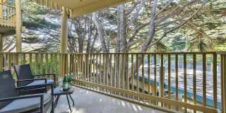 377 Mandarin Dr Apt 105 Gallery 2