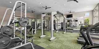 Pringle Square Gallery 15