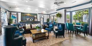 Olympus Fenwick Gallery 23