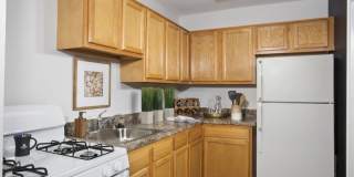 Queenstown Apartments Gallery 5