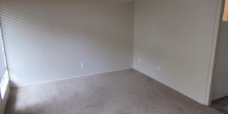 (690) Circle Court - 1 Bedroom / 1 Bathroom Gallery 3