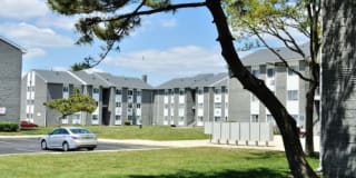 Carolina Village Gallery 7