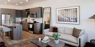 Astral & Revel by Alta Gallery 2