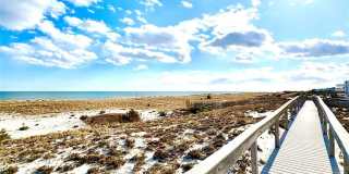 253 Dune Gallery 16