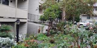 Rochelle Apartments Gallery 17