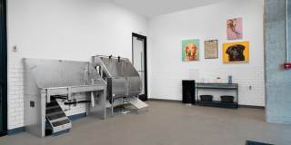 Alexan Main Street Gallery 73