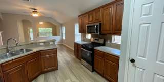 10025 Mount Rainier Gallery 12