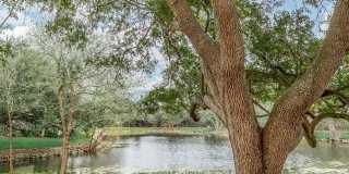 Songbird Apartments Gallery 19