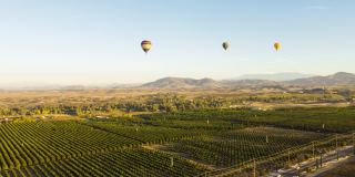 Vineyards at Paseo Del Sol Gallery 3