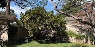 2521 Fairmount Avenue Gallery 34