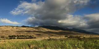 150 Hauoli St Gallery 54