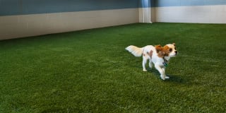 2929 Weslayan St Gallery 30