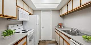 Twin Palms Gallery 39