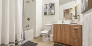 Arlington 360 Gallery 7