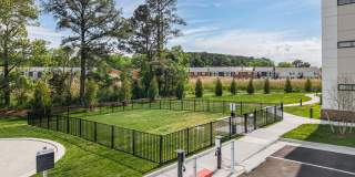 The Canopy Gallery 61